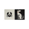 Animais - Livro de Contraste - Image 3